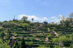 英联杯焦点战：狼队主场迎战埃弗顿 9 月两连胜狂魔对决格拉利什领衔新势力